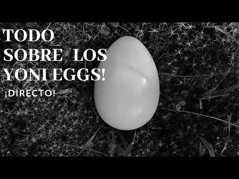 Descubre los beneficios del huevo de jaspe rojo yoni sin perforar pequeño ¡Haz clic aquí!